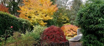 TREE TOPS - stunning sunsets, serene location. SPECIALS ON NOW !