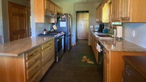 A kitchen with wooden cabinets, a stainless steel refrigerator, a stove, and a sink. - Sky Dog Pet Friendly Home Dupont Brevard Hiking Mountain Biking Porch Waterfalls (Brevard)
