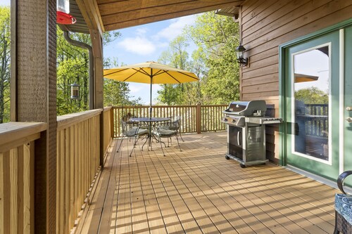 Sky Dog Pet Friendly Home Dupont Brevard Hiking Mountain Biking Porch Waterfalls