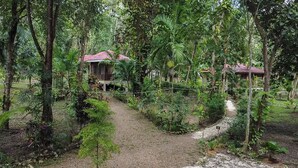 Eine rustikale Lodge mit einem Feldweg, der zu einem hölzernen Gebäude mit rotem Dach führt, umgeben von dichtem tropischen Grün.