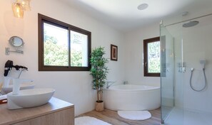 Asciugacapelli, asciugamani, sapone, shampoo
