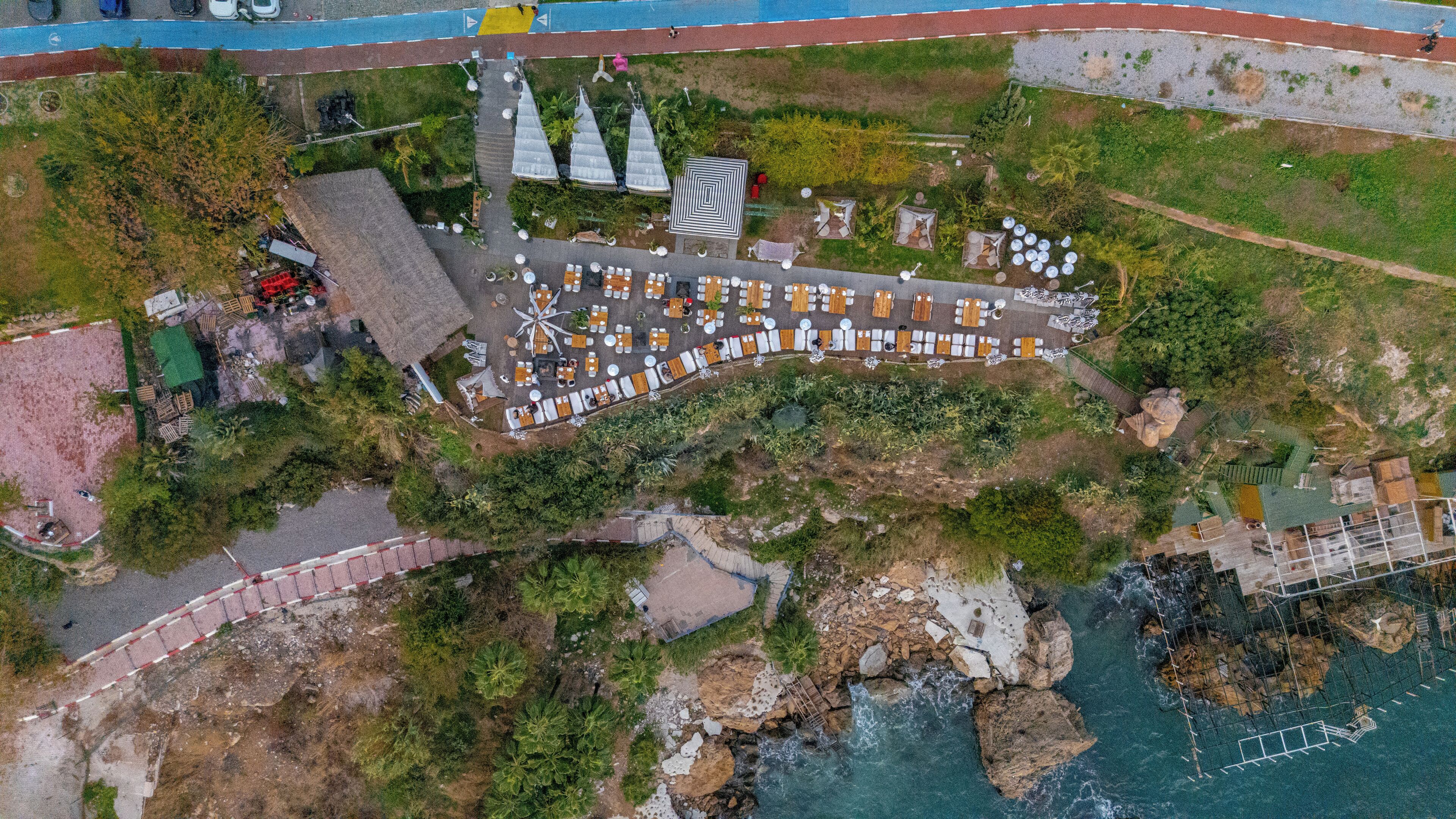 Photo - Lucky Monkey Hotel