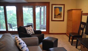 TV, fireplace, table football, books