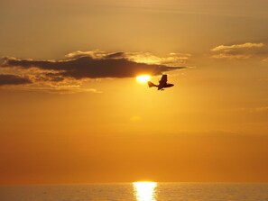 Nicht klassifiziertes Bild, 4 von 13, Schaltfläche