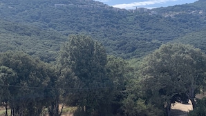 Un paysage montagneux, avec une forêt dense et quelques bâtiments dispersés.