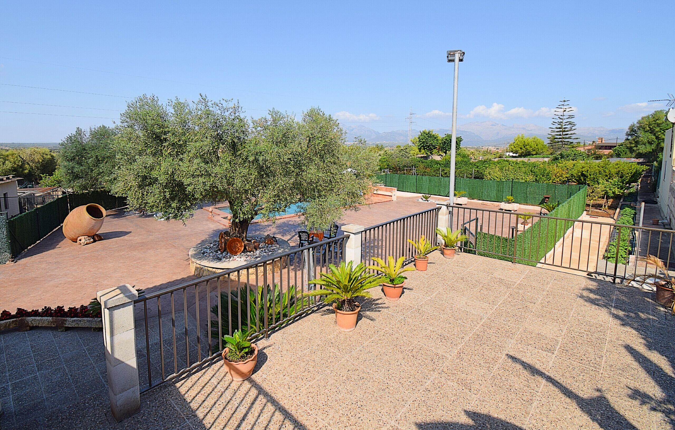 Terras