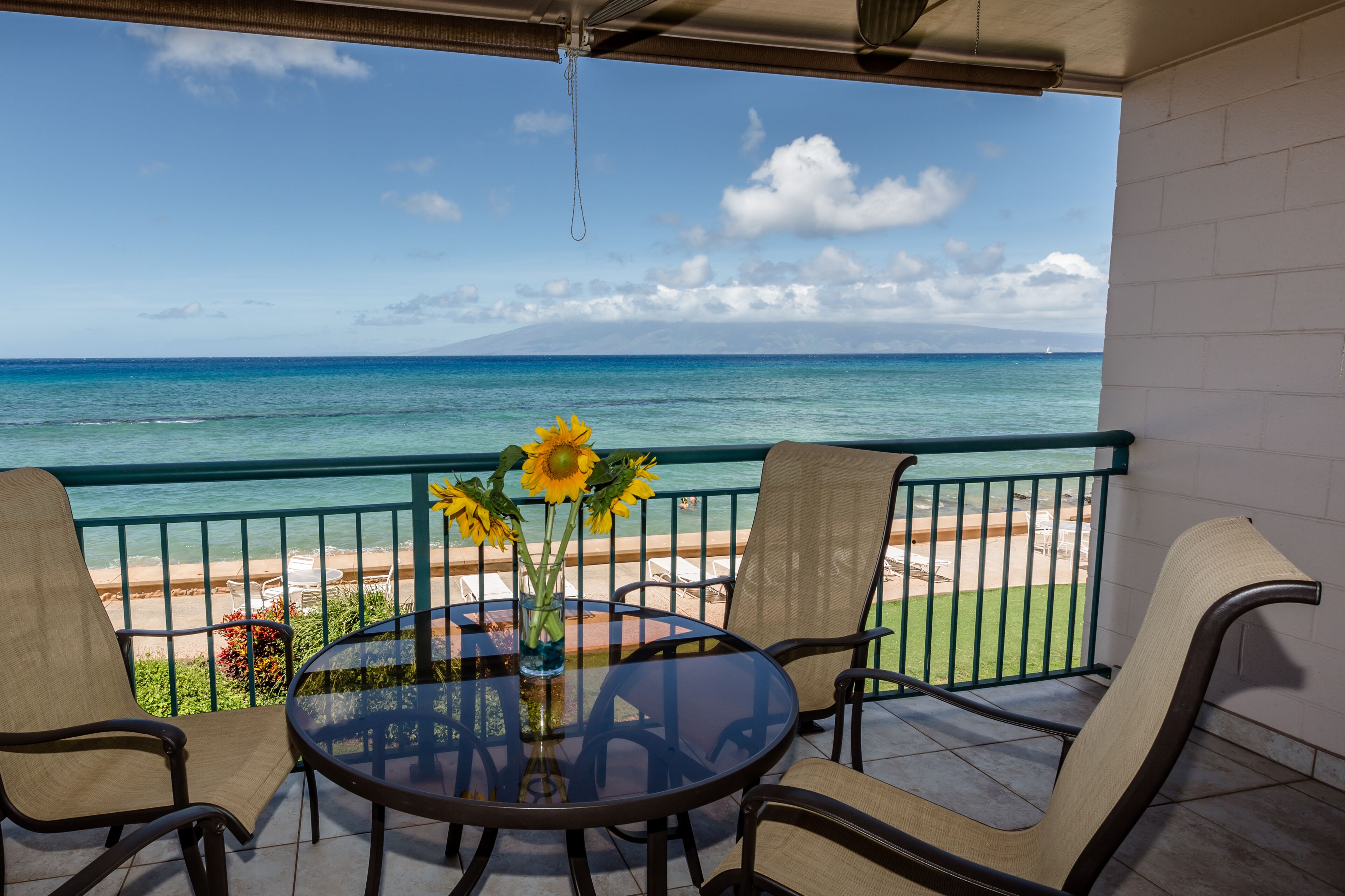 テラス / パティオ