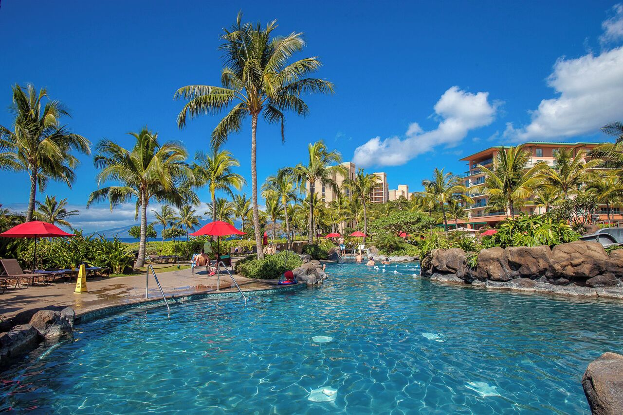 A swimming pool with palm trees, lounge chairs, and umbrellas.