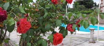 Chambre d'hôtes au calme, parking privé, piscine, jardin, proche des grands axes