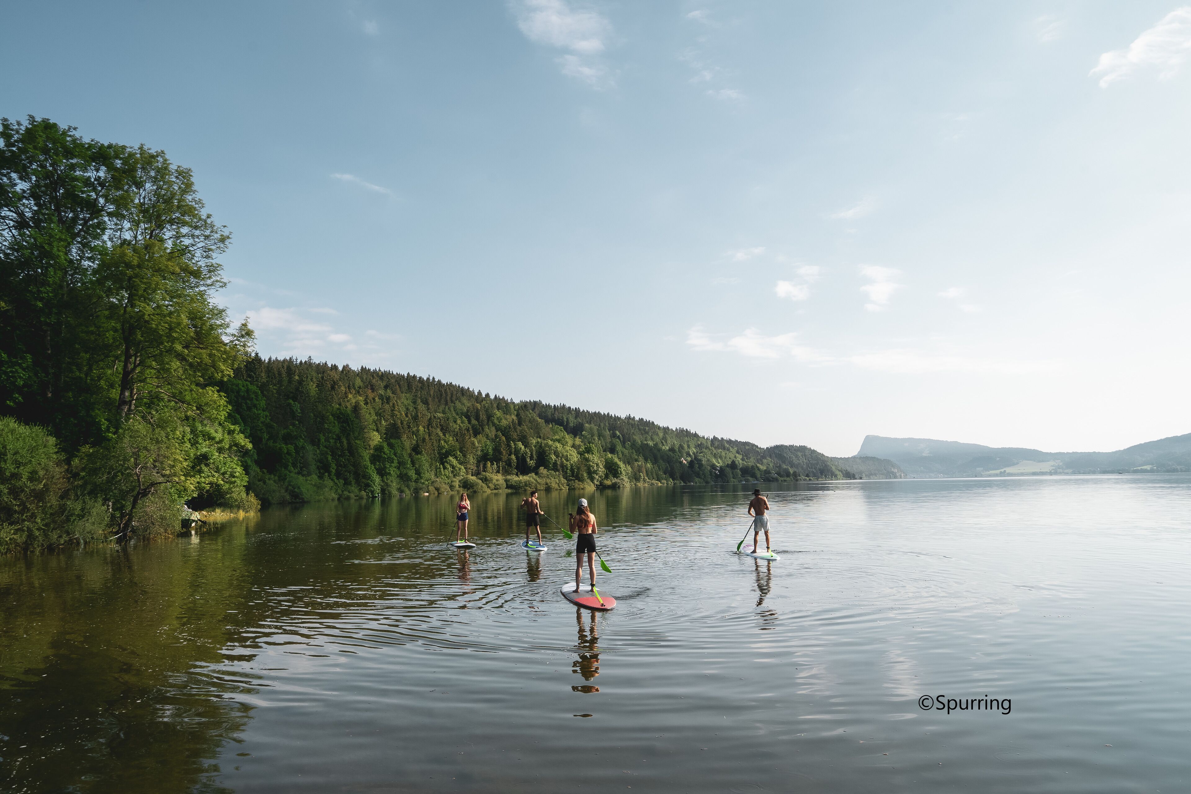A calm lake with paddleboarders.