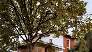 A modern house with a brick facade, a covered porch, and a well-maintained garden. - Stunning Villa. Discover some details from several generations (Sever do Vouga)