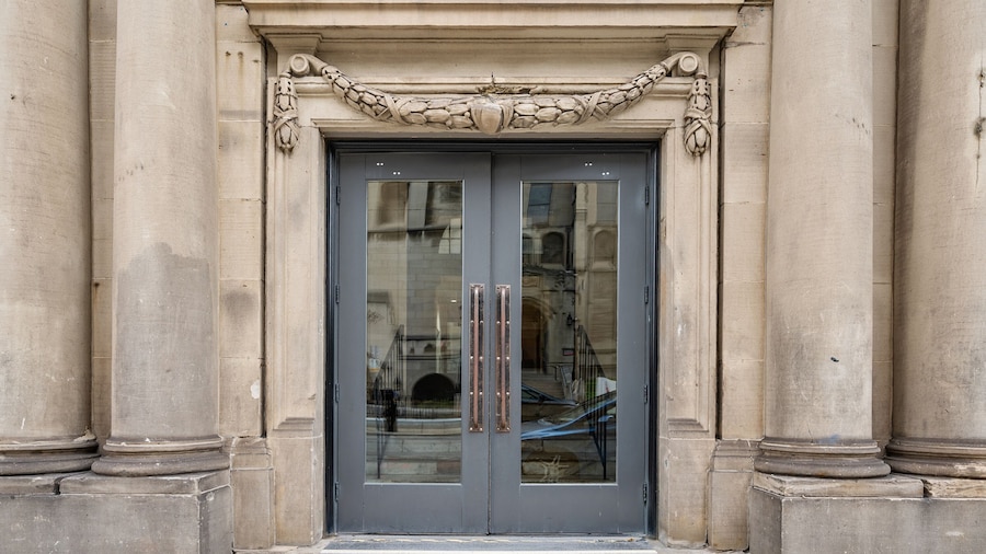 The Maverick by Kasa