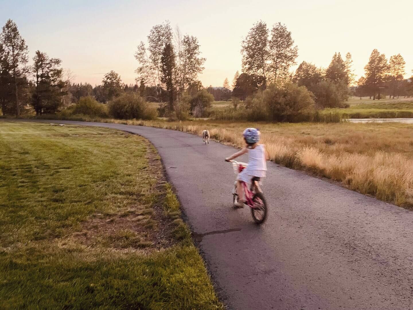 Een verhard pad in een park, met gras aan beide zijden en bomen op de achtergrond.