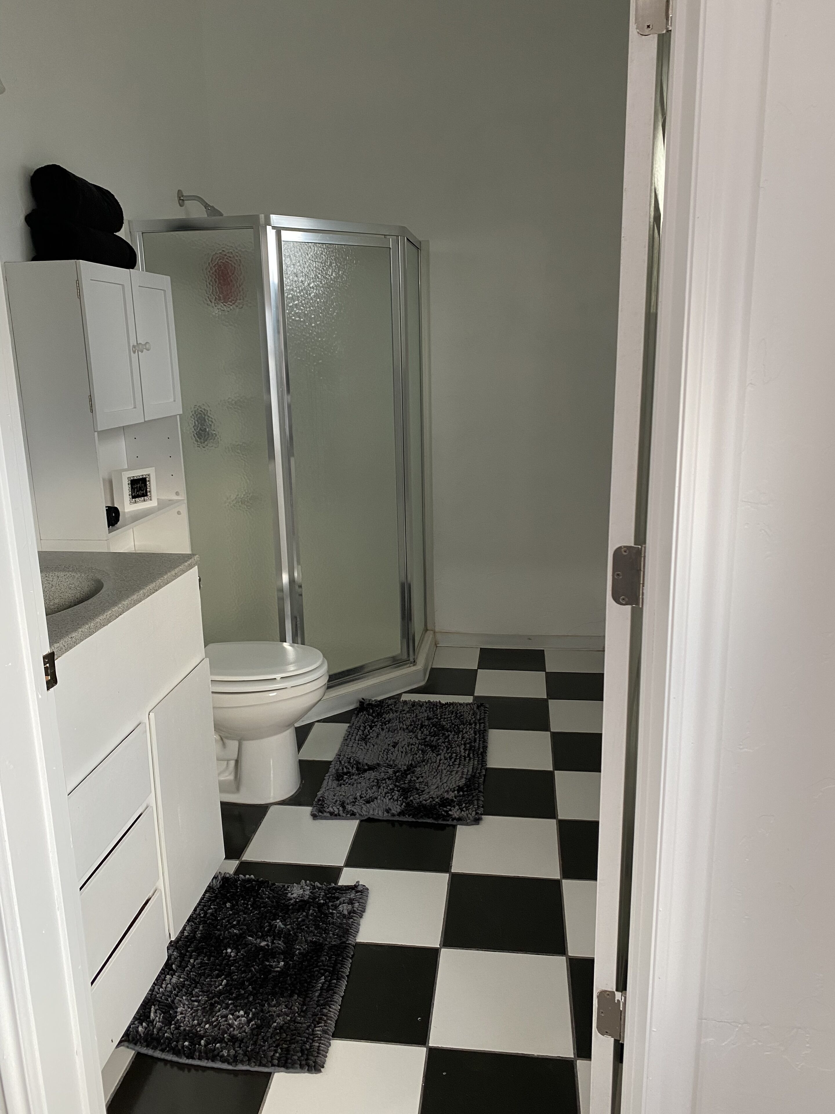 Shower, soap, shampoo, toilet paper