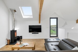 Smart TV, chimenea y libros