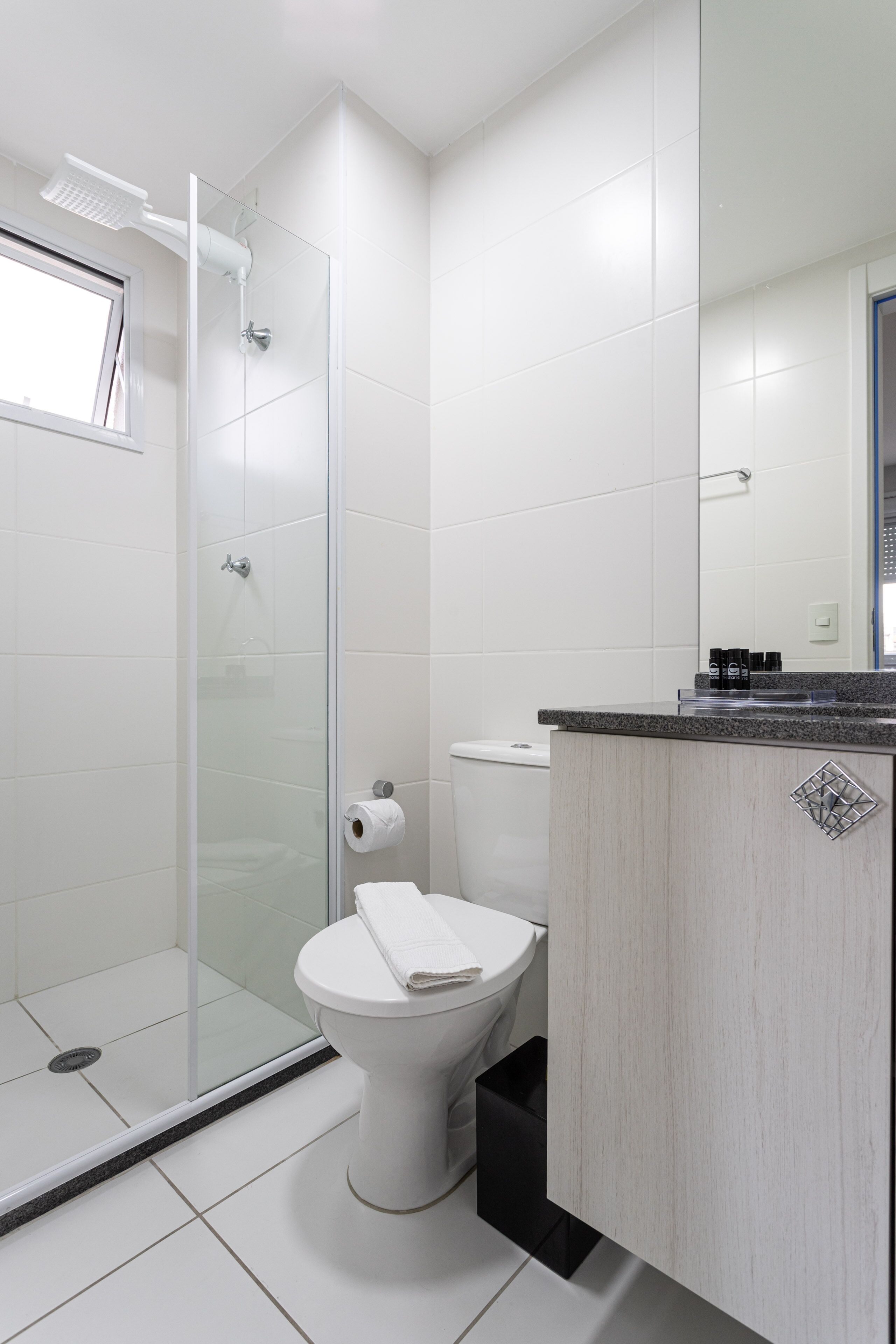 A modern bathroom with a glass shower enclosure, a white toilet, and a wooden vanity with a mirror.
