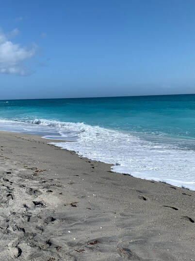 Pineapple Cove-Adorable Home W/ Private Tropical Pool/ close to Beach & Park