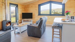 A cozy cabin with a wood-burning stove, a comfortable sofa, a TV, and a large window offering a scenic view. - Bacheiddon Log Cabin (Machynlleth)