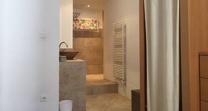 Charming T3 in the heart of Saint Florent