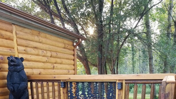Un pontile in legno con due panchine e una statua di orso.