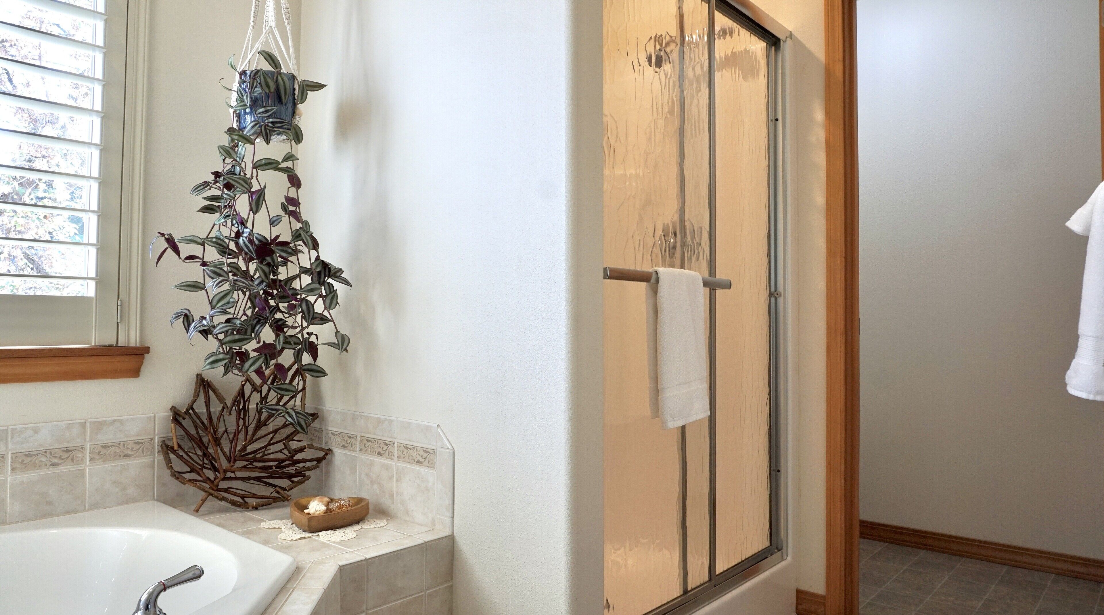 Une salle de bain avec une baignoire, une douche équipée d’un porte-serviettes et une plante sur le mur.