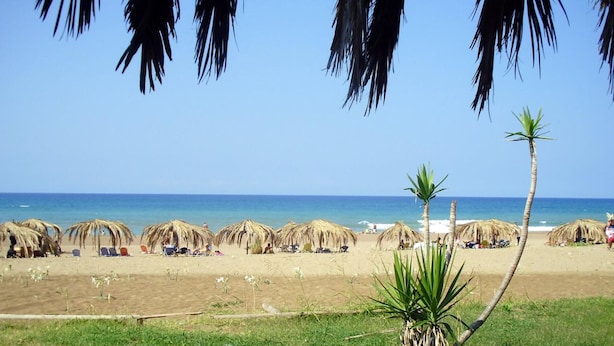 Ein Strand mit Reetdachschirmen und Palmen, ein klarer Himmel und das Meer im Hintergrund.