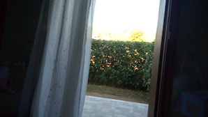 Ein Durchgang zu einem Garten mit Hecke und Pflasterterrasse.