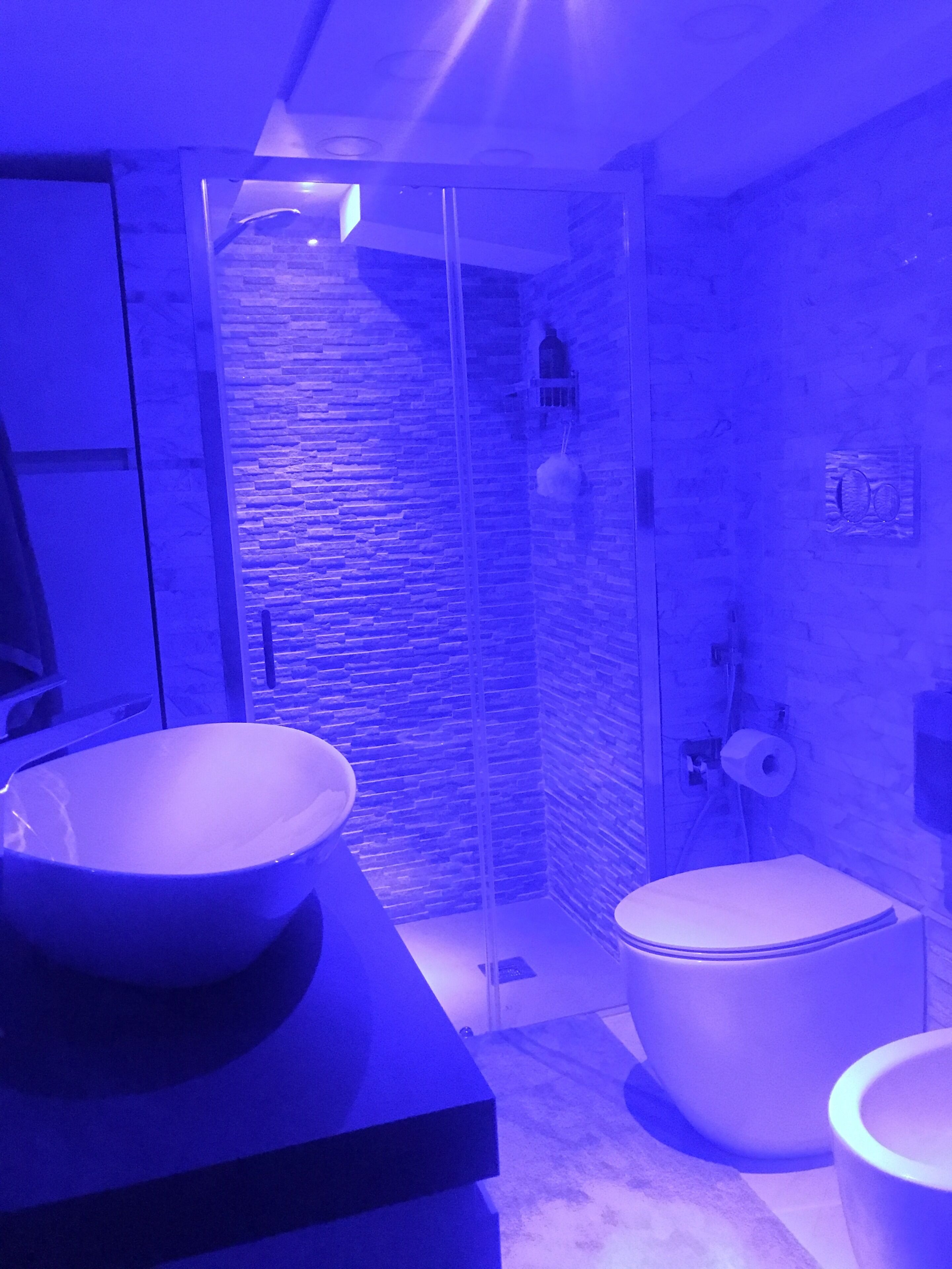 Dusche, Haartrockner, Bidet, Handtücher