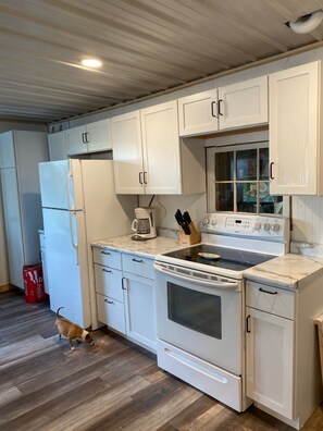 Jääkaappi, mikroaaltouuni, uuni, liesi