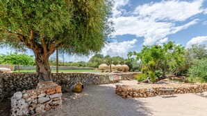 Un muro de piedra, un árbol y un banco en un jardín.