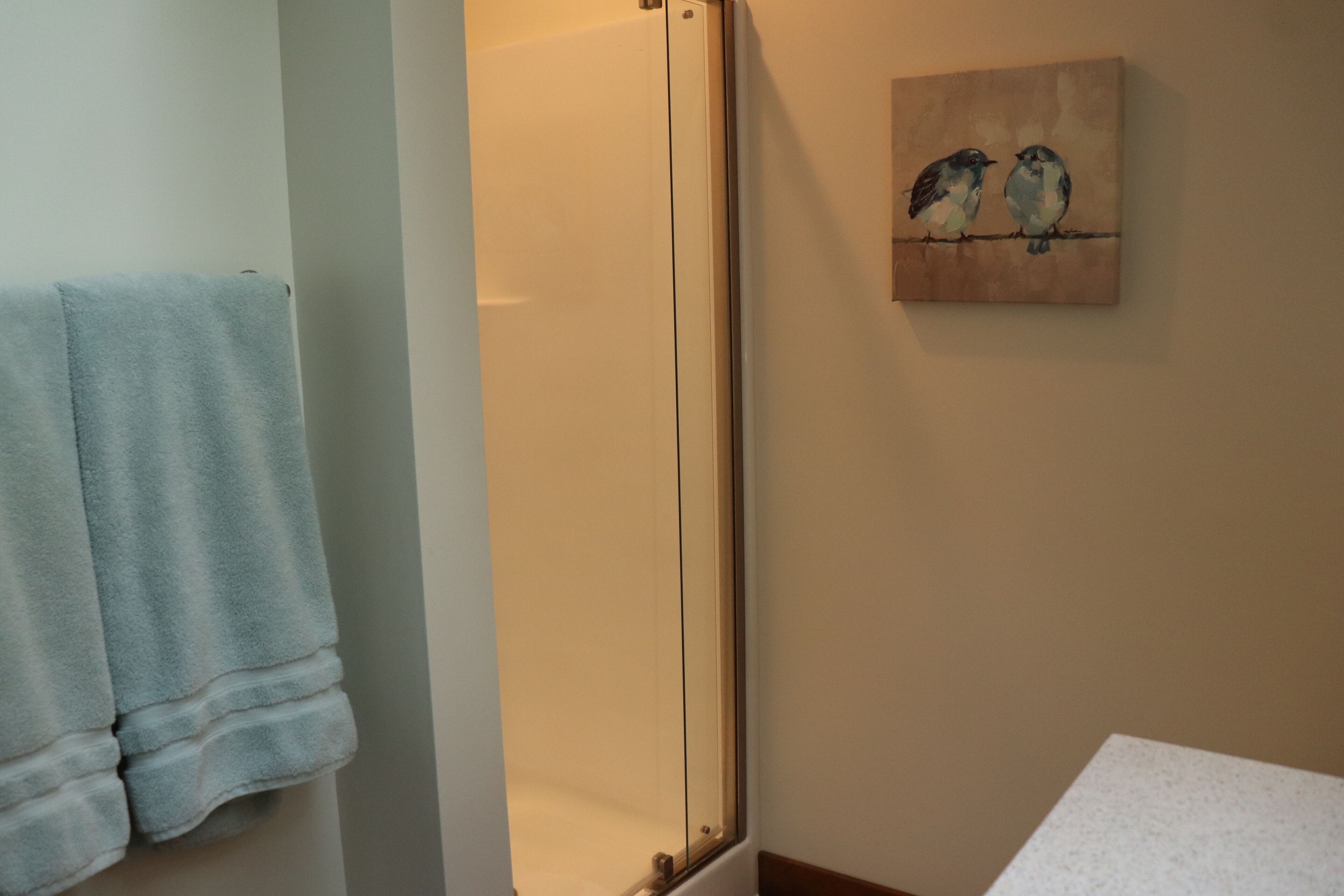 A bathroom with a towel hanging on the wall, a shower door, and a painting of birds on the wall.