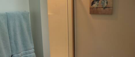 A bathroom with a towel hanging on the wall, a shower door, and a painting of birds on the wall.