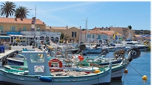 Marina