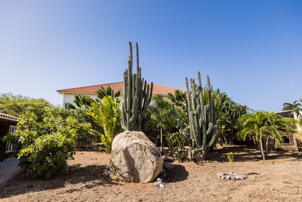 المنطقة المحيطة بالمنشأة