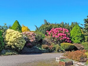 Un jardín con topiarios y arbustos de formas variadas.