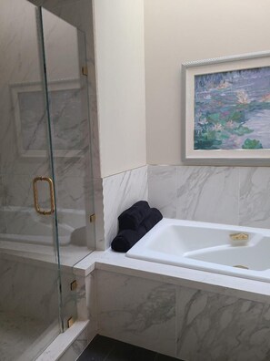 Combined shower/tub, hair dryer, towels, soap - Beautiful Townhouse in Belvedere, Marin County, California (Belvedere)