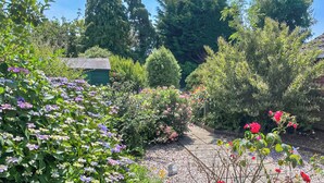 Um jardim com diversas plantas floridas e um caminho.