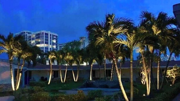 Pátio de hotel com palmeiras e um edifício ao fundo.