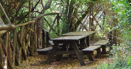 Casa di Agostino / week and / Holidays and long and short stays / Families