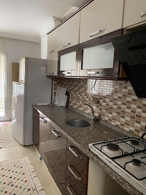 Fridge, oven, stovetop, cookware/dishes/utensils