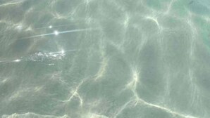 A clear underwater view of a stingray swimming near the surface of the water.