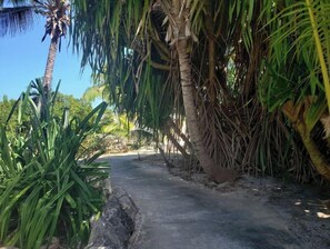 Property grounds - SPECIAL FALL RATE  IS IN  Come enjoy Paradise!  (George Town)