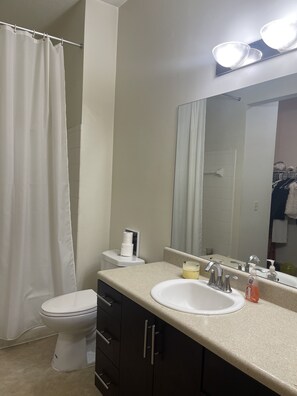 Combined shower/bathtub, hair dryer, towels, soap