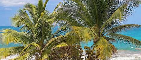 Plage, chaises longues, serviettes de plage