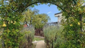 A pathway flanked by lush greenery and a building in the background. - Historic Baker’s Cottage-Walk to Richmond Village (Richmond)