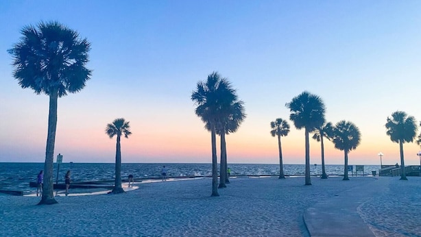 Une plage bordée de palmiers, sous un ciel dégagé.
