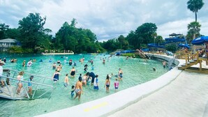 Une grande piscine extérieure dotée de plusieurs couloirs, entourée d’une végétation luxuriante et de palmiers.