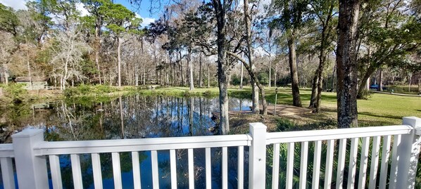 A serene park with a pond, surrounded by trees and a white fence.