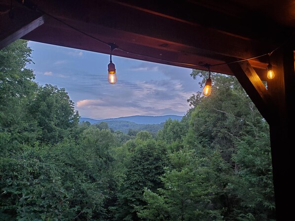 A view from a covered area with hanging light fixtures and dense forest foliage.