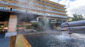 Uklassifisert bilde, 4 av 29, knapp
